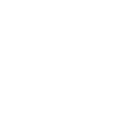 saudi-symbol