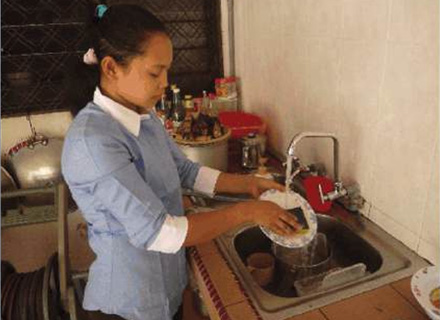 Domestic
